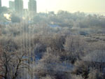 Зимний вид из окна - фото2