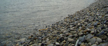 Камешки Черного моря