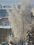 Зимний вид из окна - фото3